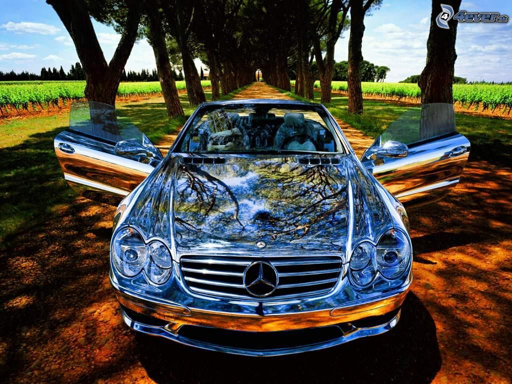 [obrazky.4ever.sk] priroda, auta , mercedes 8888072.jpg